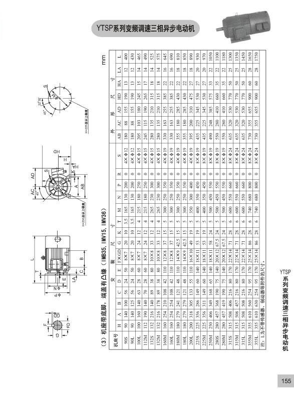 YTSP-8.jpg